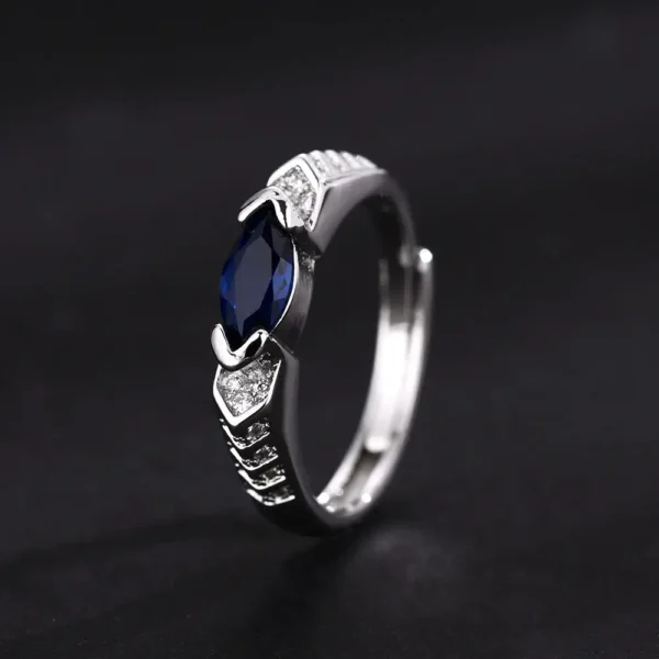 💥Last Day Promotion 80% OFF - 🔥DIYSTAR Magnetology Moissanite Diamond Ring💖