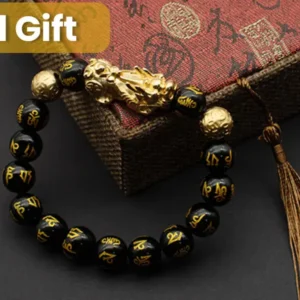🔥🎉DIYSTAR Pi Xiu Obsidian Bracelet – Unlock Wealth & Attract Good Fortune